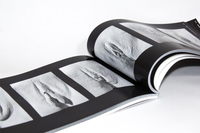 The Great Wall of Vagina - first edition - last few ever - signed!! - Image 12
