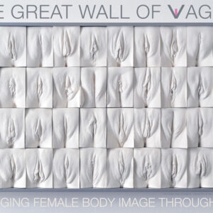 The Great Wall of Vagina panel 5 poster