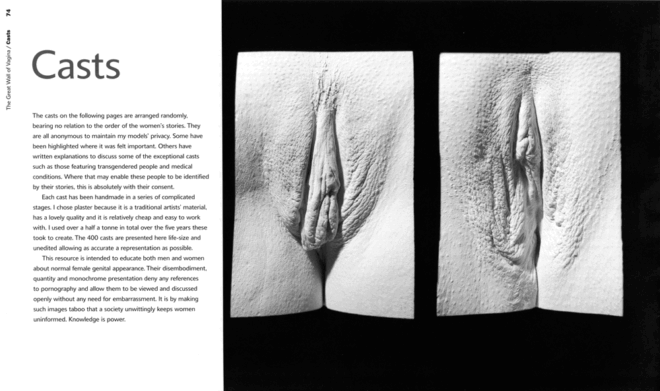 The Great Wall of Vagina - first edition - last few ever - signed!! - Image 4