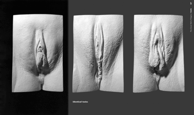 The Great Wall of Vagina - first edition - last few ever - signed!! - Image 6