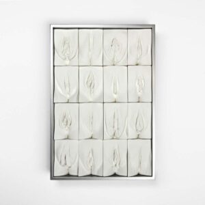 Jamie McCartney's '16 Women' vulva panel artwork