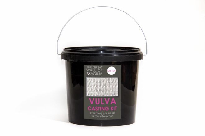 Great Wall of Vagina vulva casting kit