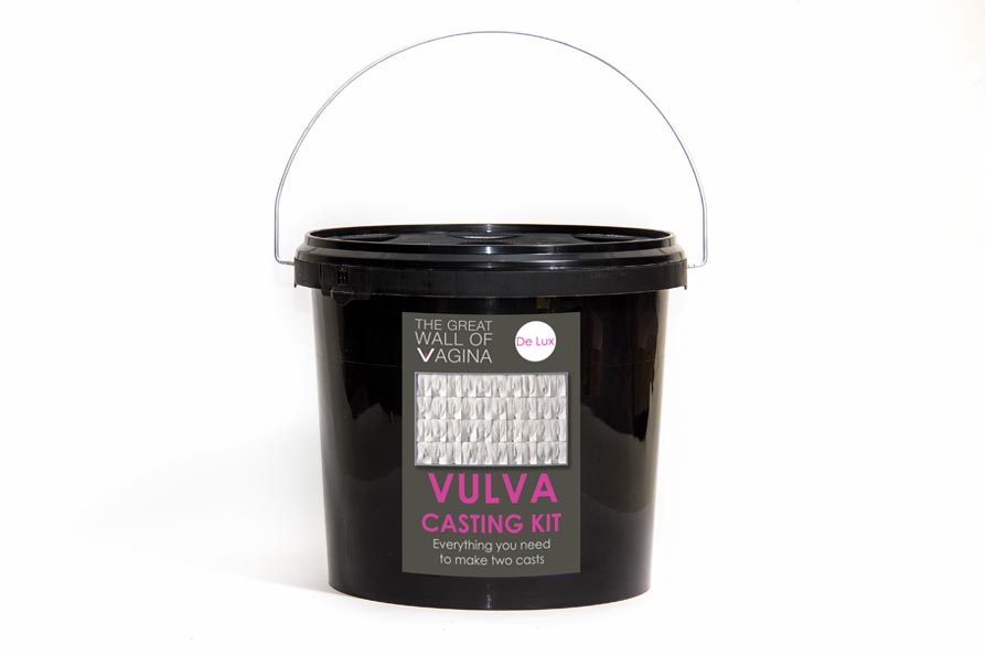 De Lux Vulva Casting Kit