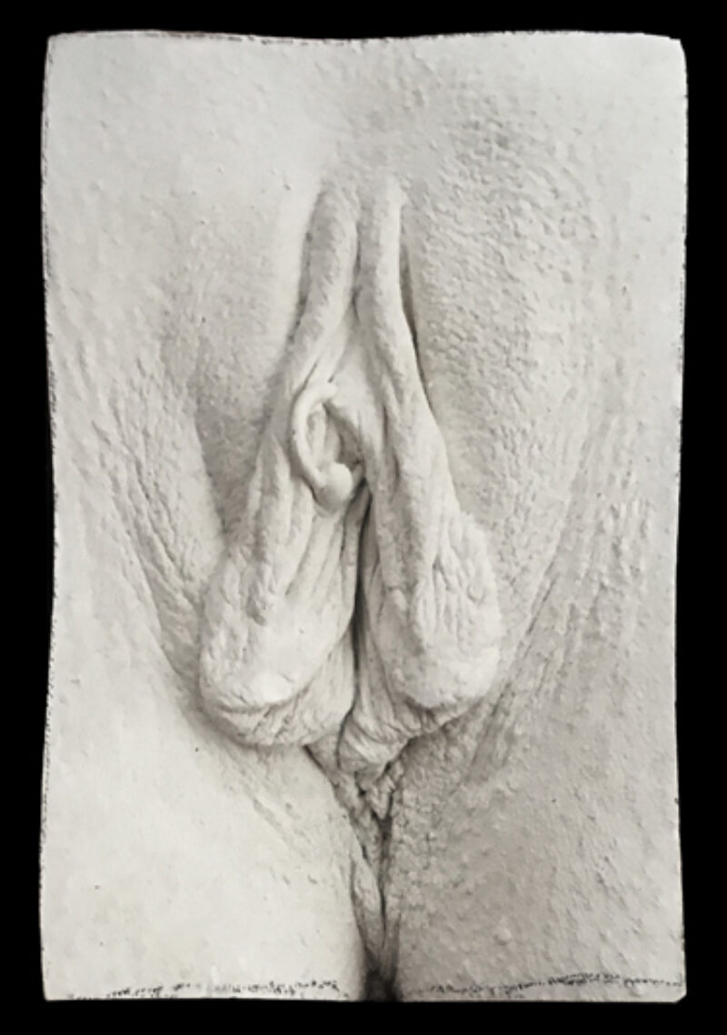 cast of a vulva with a vch piercing