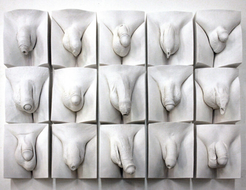 15 plaster casts of flaccid penises