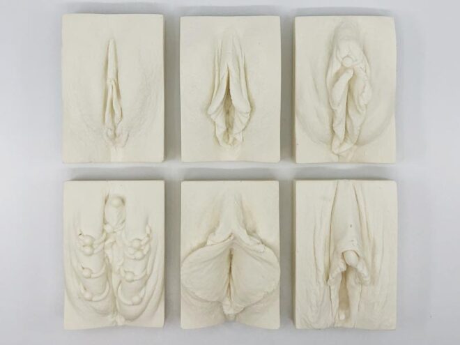 six vulva shaped natural soap bars