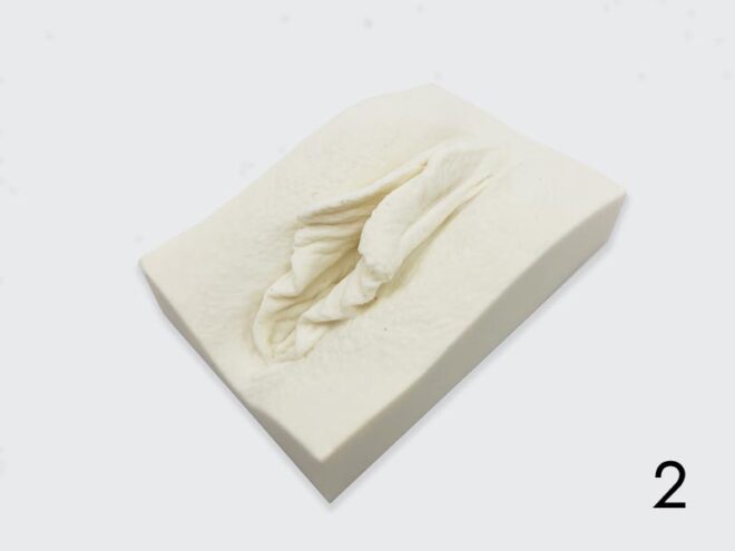 vulva shaped natural soap bar with medium labia