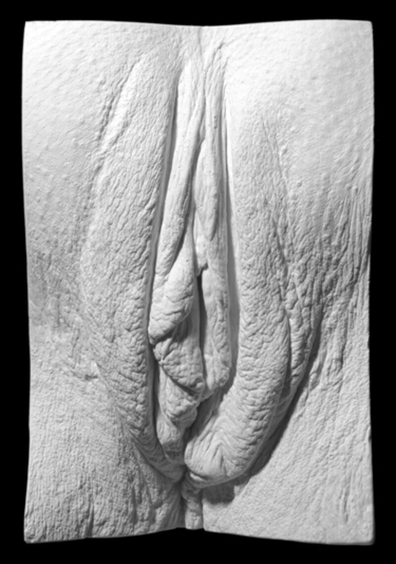 plaster cast of a vulva from The Great Wall of Vagina showing identical twins labia