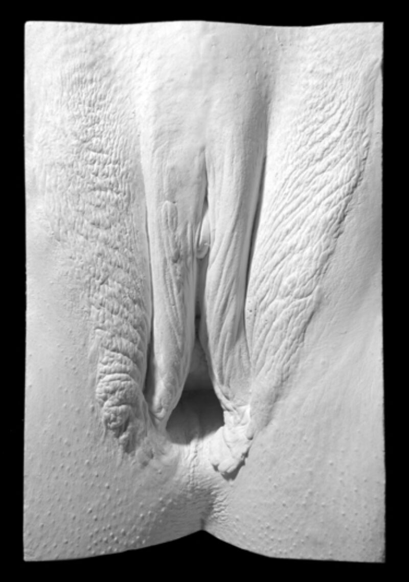 plaster cast of a vulva from The Great Wall of Vagina following male to female transgender surgery