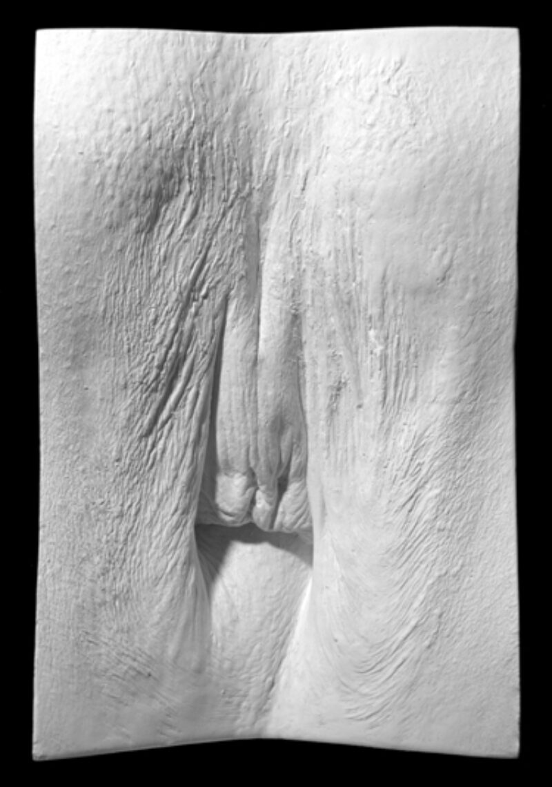 plaster cast of a vulva from The Great Wall of Vagina following male to female transgender surgery