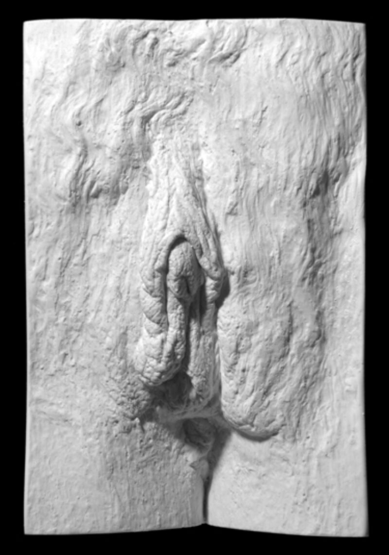 plaster cast of a vulva from The Great Wall of Vagina showing female to male transgender treatment