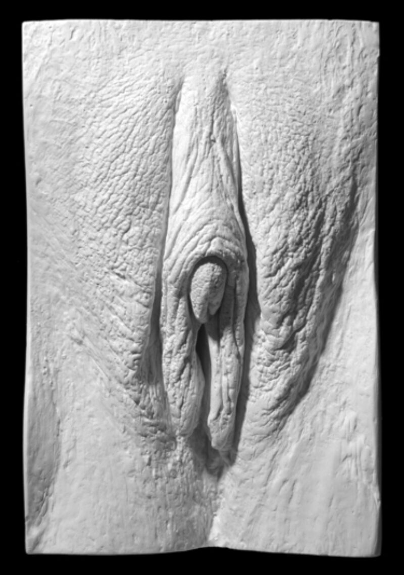 plaster cast of a vulva from The Great Wall of Vagina showing female to male transgender treatment