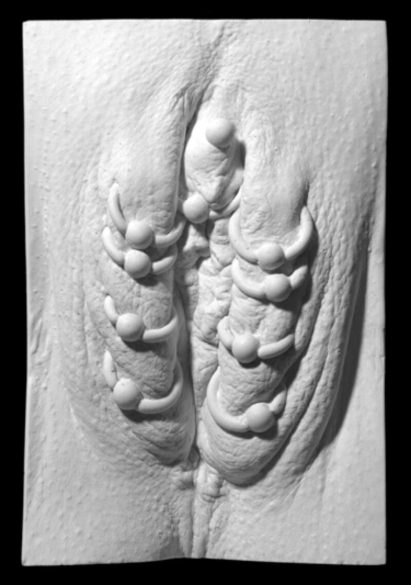 plaster cast of a vulva from The Great Wall of Vagina showing outer labia and vch piercings