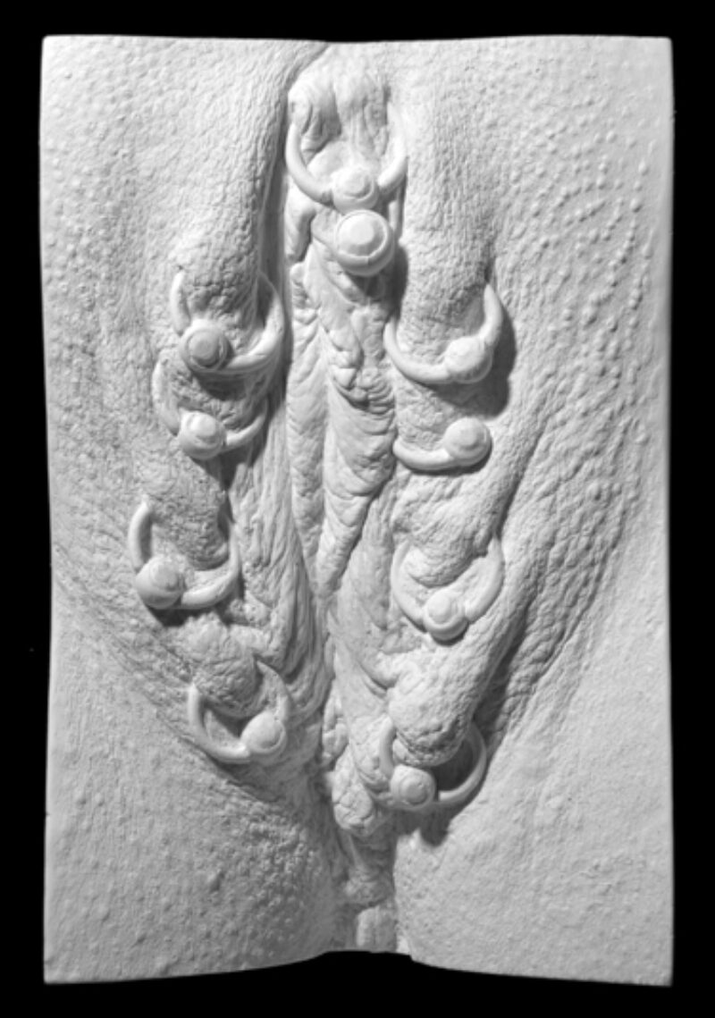plaster cast of a vulva from The Great Wall of Vagina showing outer labia and vch piercings