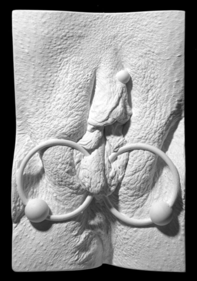 plaster cast of a vulva from The Great Wall of Vagina showing outer labia and vch piercings