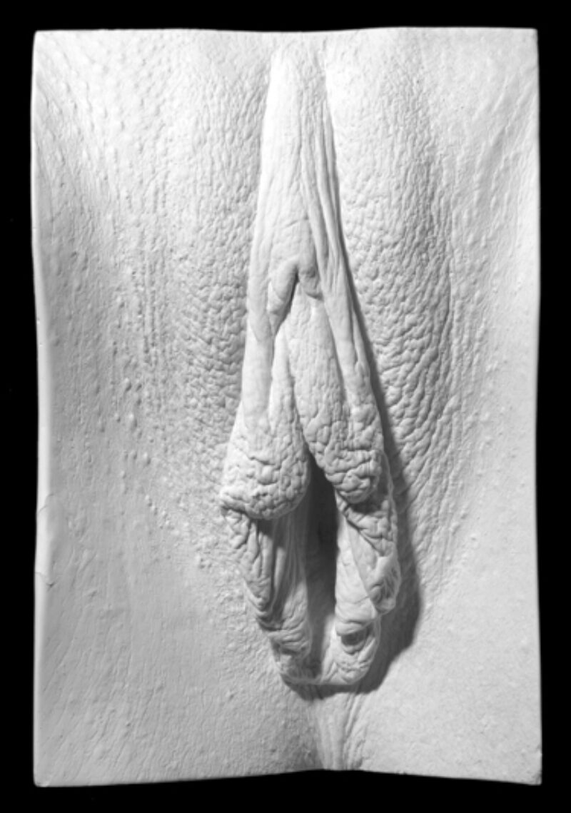 plaster cast of a vulva from The Great Wall of Vagina showing pre-labiaplasty inner labia