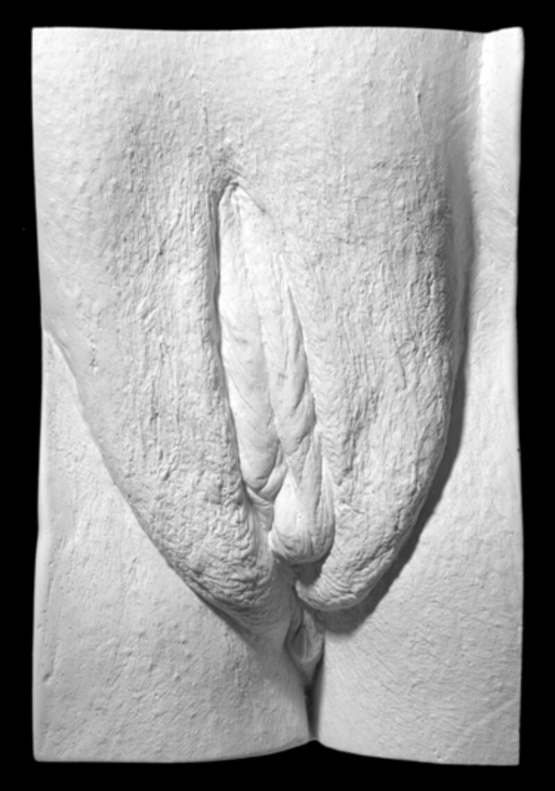 plaster cast of a vulva from The Great Wall of Vagina