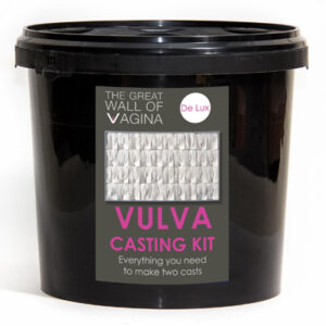 Great Wall of Vagina vulva casting kit