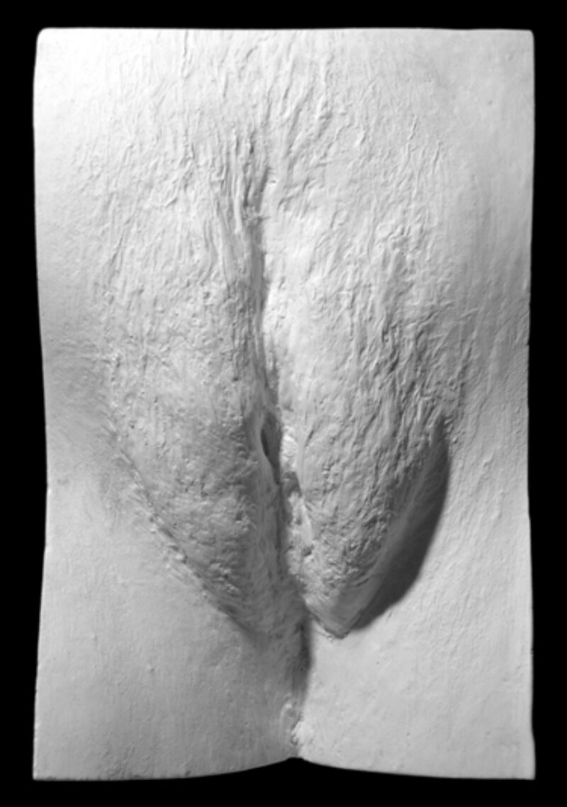 plaster cast of a vulva from The Great Wall of Vagina
