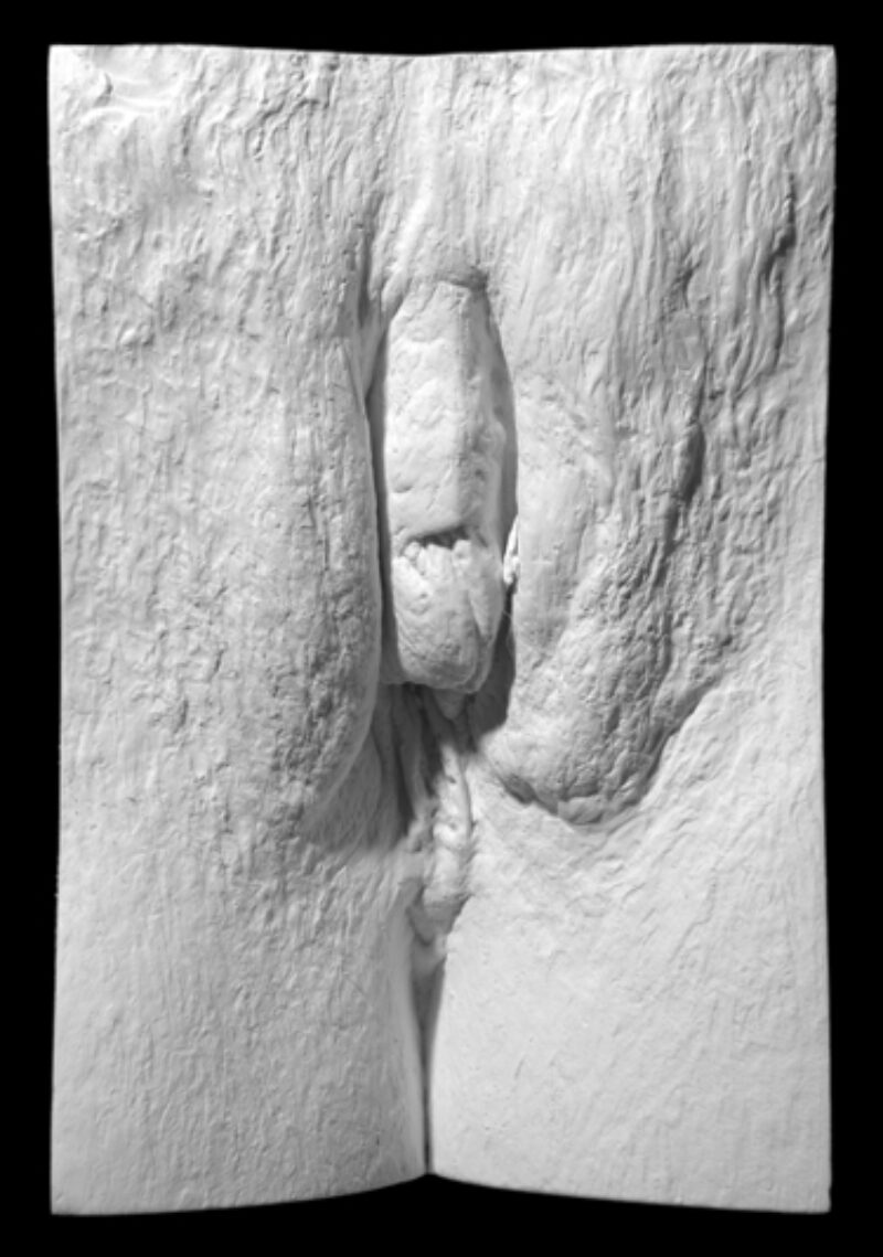 plaster cast of a vulva from The Great Wall of Vagina