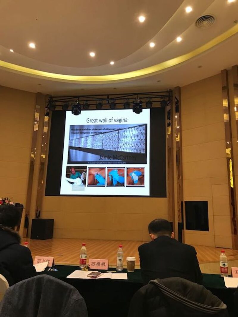 shijiazhuang conference china