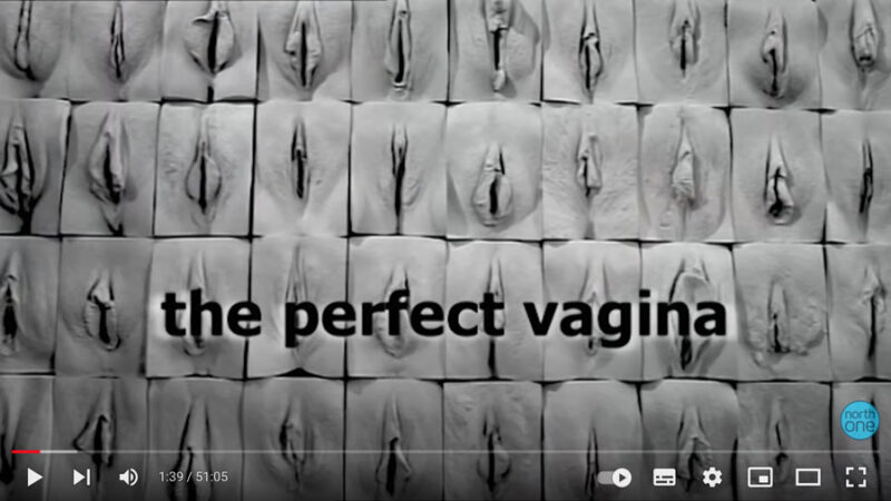 The Perfect Vagina Channel 4