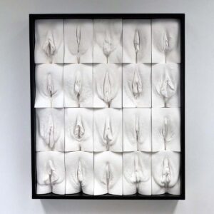 Jamie McCartney's '20 Women' vulva panel artwork