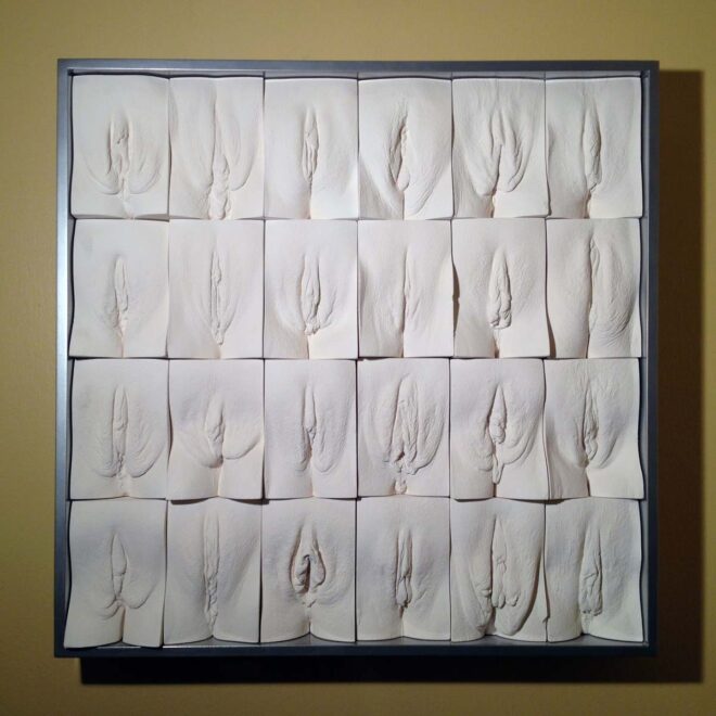 Jamie McCartney's '24 Women' vulva panel artwork