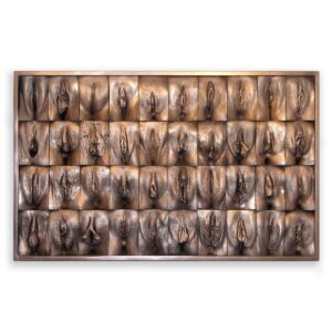 Jamie McCartney's '40 Women' vulva panel artwork in bronze