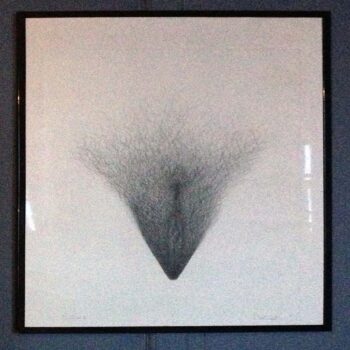pencil drawing of a vulva