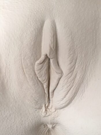 plaster cast of a vagina