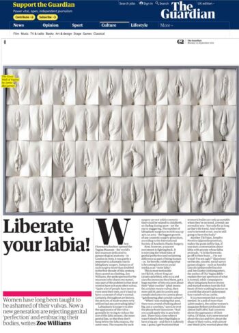The Guardian on the latest movement in labia art featuring The Great Wall of Vagina