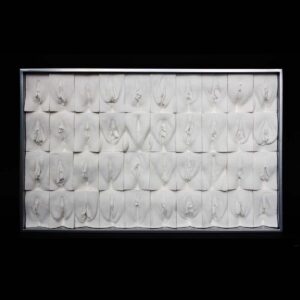 Jamie McCartney's 'Great Wall of Vagina panel 5 miniature' artwork in plaster and aluminium