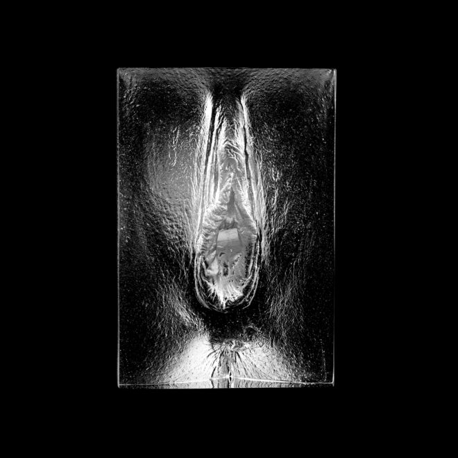 'Internal Affairs' artwork by Jamie McCartney - an internal cast of a vagina in glass looking inside the vagina through the vaginal opening