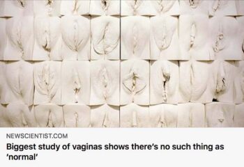 New Scientist vulva diversity