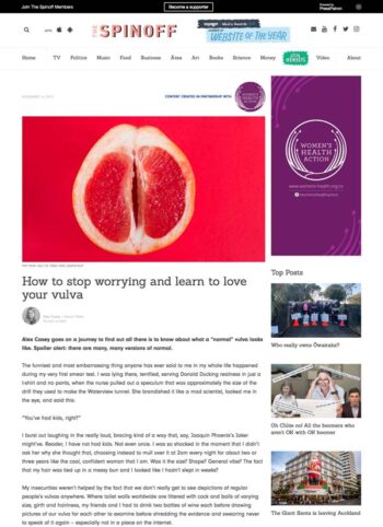 The Spinoff article on How to stop worrying and learn to love your vulva
