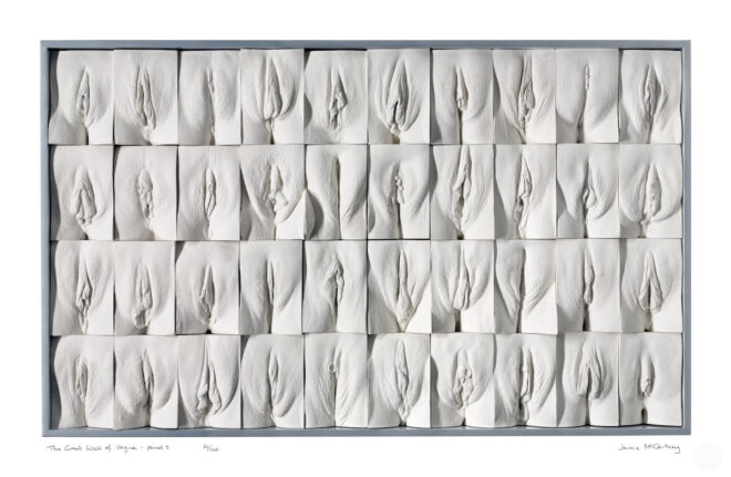 C-type photograph of The Great Wall of Vagina panel 5