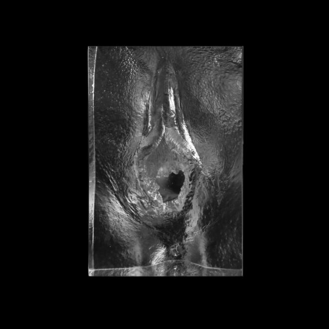 'Internal Affairs' artwork by Jamie McCartney - an internal cast of a vagina in glass looking inside the vagina through the vaginal opening