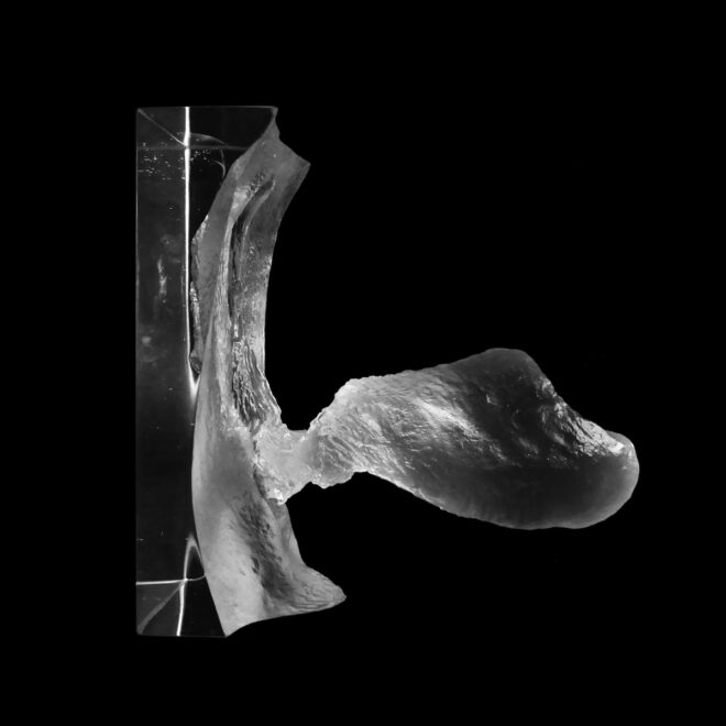 'Internal Affairs' artwork by Jamie McCartney - an internal cast of a vagina in glass looking inside the vagina through the vaginal opening